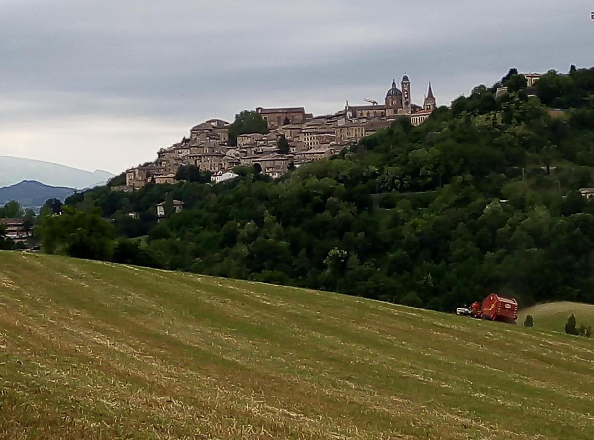 B&B Il Monchetto Urbino Exterior foto